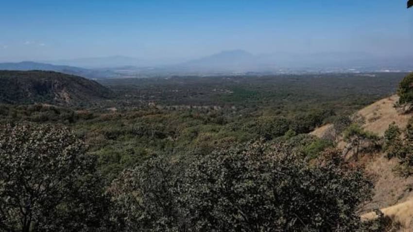 Bosque La Primavera forest west of Guadalajara