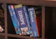 collection of overseas travel books lined up on bookshelf