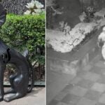 Two photos: one shows security camera footage of a person in a white hoodie stealing a plaque and the other shows the sculpture Black Dog by Leonora Carrington