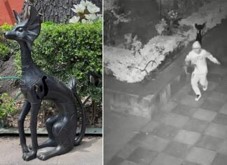 Two photos: one shows security camera footage of a person in a white hoodie stealing a plaque and the other shows the sculpture Black Dog by Leonora Carrington