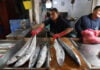 A fishmonger hawks his product in Mexico City