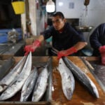 A fishmonger hawks his product in Mexico City