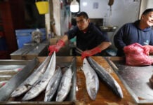 A fishmonger hawks his product in Mexico City