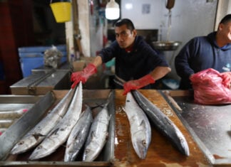 A fishmonger hawks his product in Mexico City