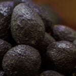 avocados
