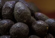 avocados