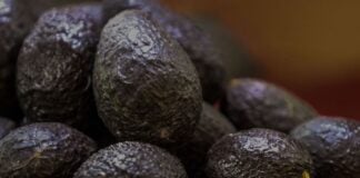 avocados