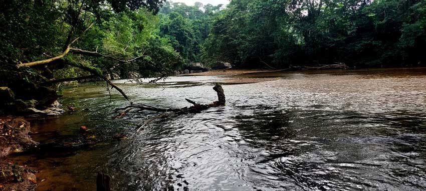 A river in Veracruz