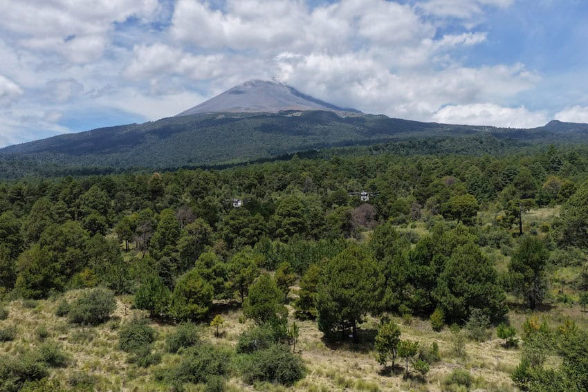 Paso de los Pueblos Indígenas
