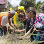Sheinbaum plants a tree as part of a reforestation campaign in Puebla