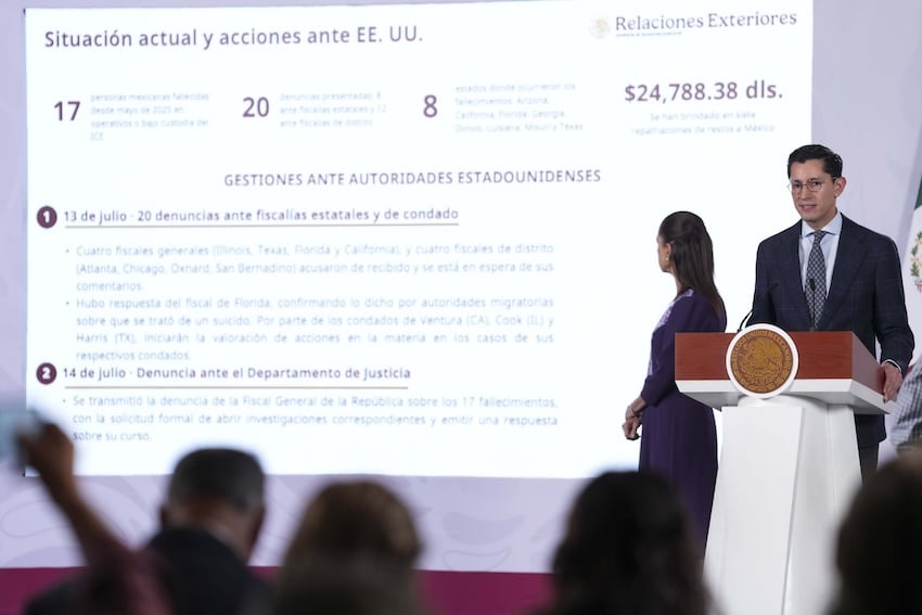 Foreign Affairs Minister Roberto Velasco is coordinating the Mexican government's complaints against ICE in the United States.