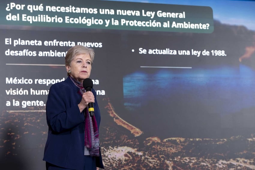 Minister Alicia Bárcena