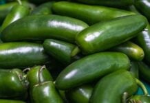 jalapeños