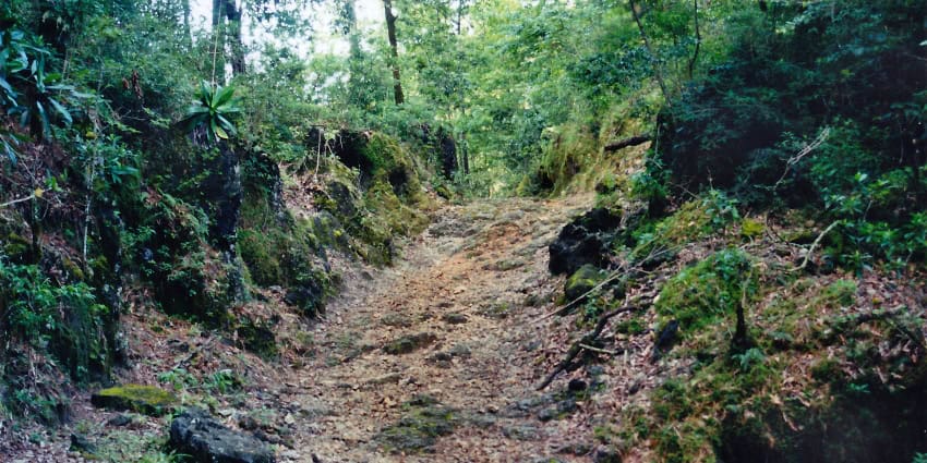 El Cielo Biosphere Reserve in Tamaulipas