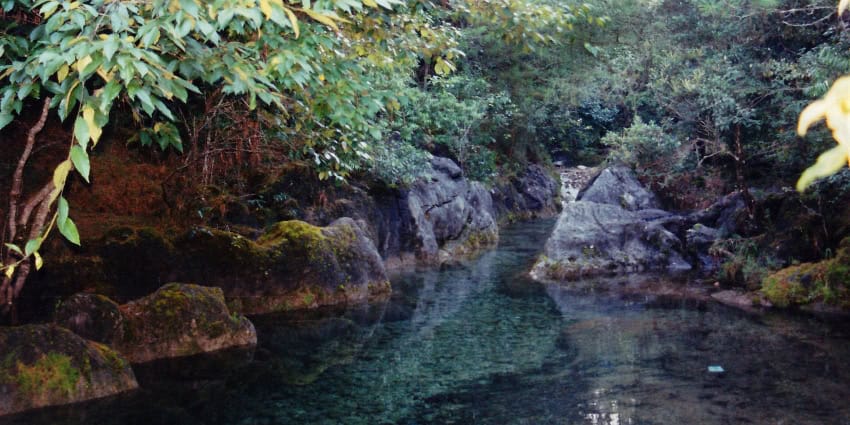 El Cielo Biosphere Reserve in Tamaulipas
