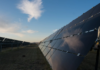 solar panels in a field