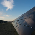 solar panels in a field