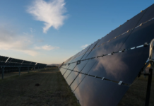 solar panels in a field