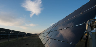 solar panels in a field