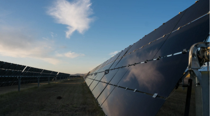 solar panels in a field