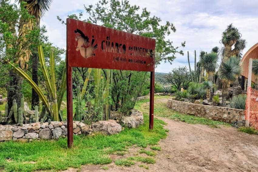 EL Charco del Ingenio is a botanical garden and nature preserve on the northeastern edge of San Miguel.