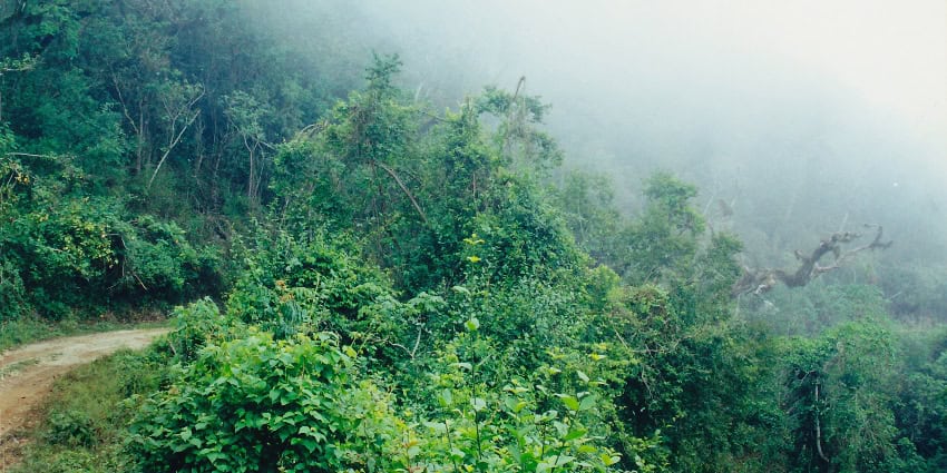 El Cielo Biosphere Reserve in Tamaulipas