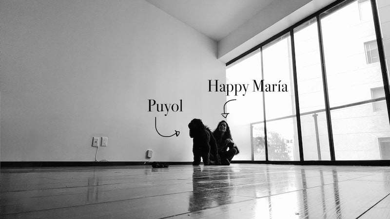 Puyol and me in the empty apartment, and definitely not ready for the next chapter of our lives.