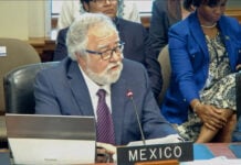Alejandro Encinas at the August OAS meeting