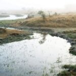 Indigenous Wixárika people and the water crisis as it applies to local communities in San Luis Potosí