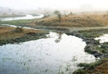 Indigenous Wixárika people and the water crisis as it applies to local communities in San Luis Potosí
