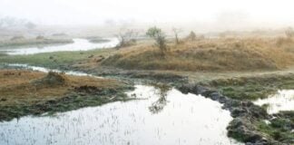 Indigenous Wixárika people and the water crisis as it applies to local communities in San Luis Potosí