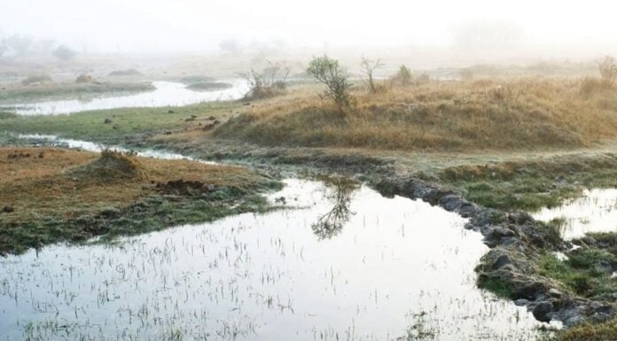 Indigenous Wixárika people and the water crisis as it applies to local communities in San Luis Potosí