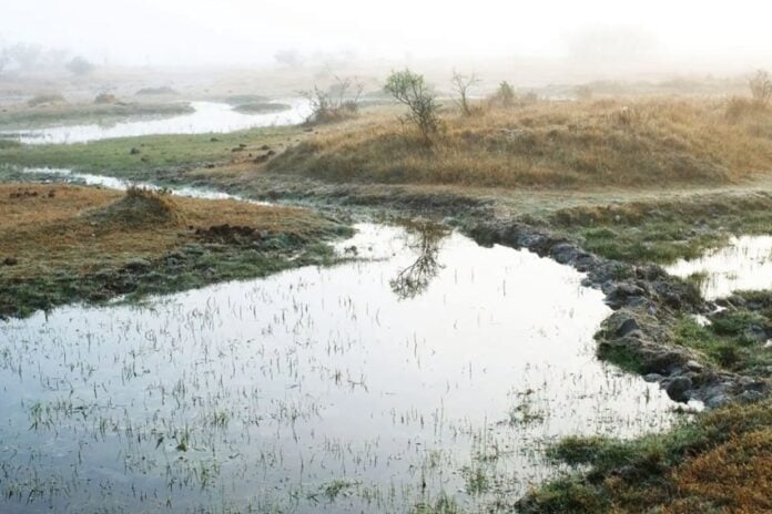 Indigenous Wixárika people and the water crisis as it applies to local communities in San Luis Potosí