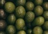 avocados