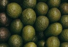 avocados