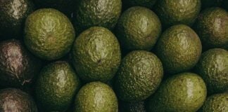 avocados