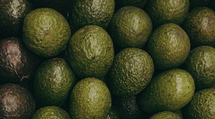 avocados