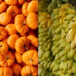 pumpkins and bananas