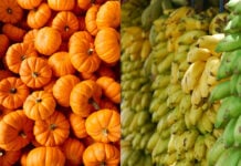 pumpkins and bananas