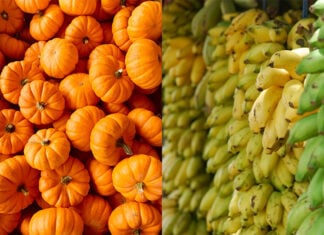 pumpkins and bananas