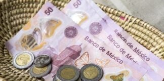 Pesos in a basket left as a tip