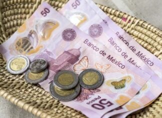 Pesos in a basket left as a tip
