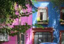 Closeup of building facades on a tree-lined street in Mexico City.
