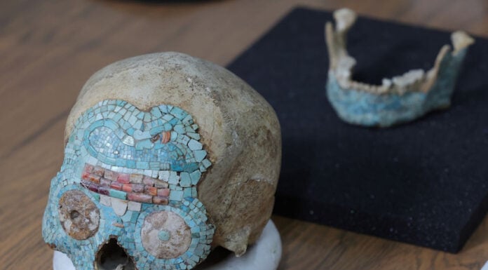 turquoise adorned pre-Columbian skull