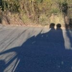 Shadow of two motorcycle riders on a road through Jalisco