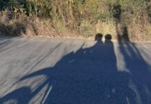 Shadow of two motorcycle riders on a road through Jalisco