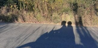 Shadow of two motorcycle riders on a road through Jalisco