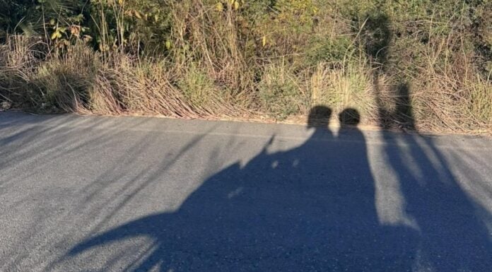 Shadow of two motorcycle riders on a road through Jalisco
