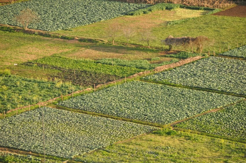 farmland
