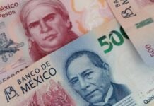 mexican bills